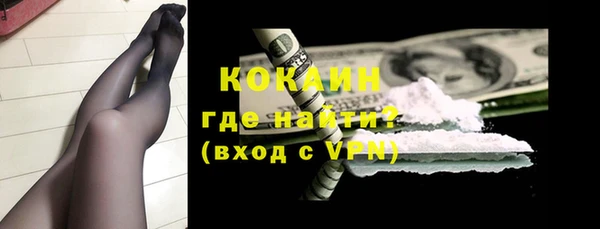 индика Беломорск