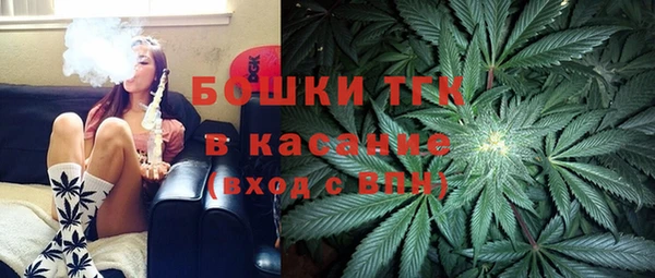 ПСИЛОЦИБИНОВЫЕ ГРИБЫ Балахна