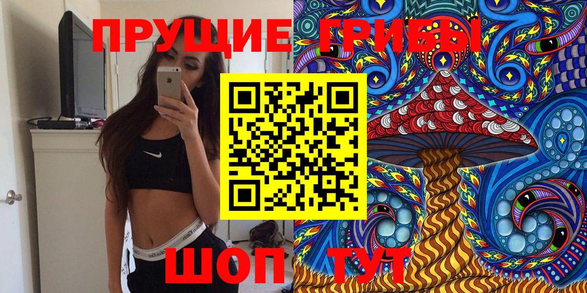 Галлюциногенные грибы Psilocybine cubensis Верхний Уфалей