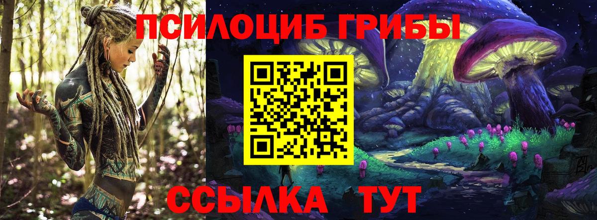 Верхний Уфалей  Галлюциногенные грибы Cubensis  Псилоцибиновые грибы Psilocybe  Вход с VPN 