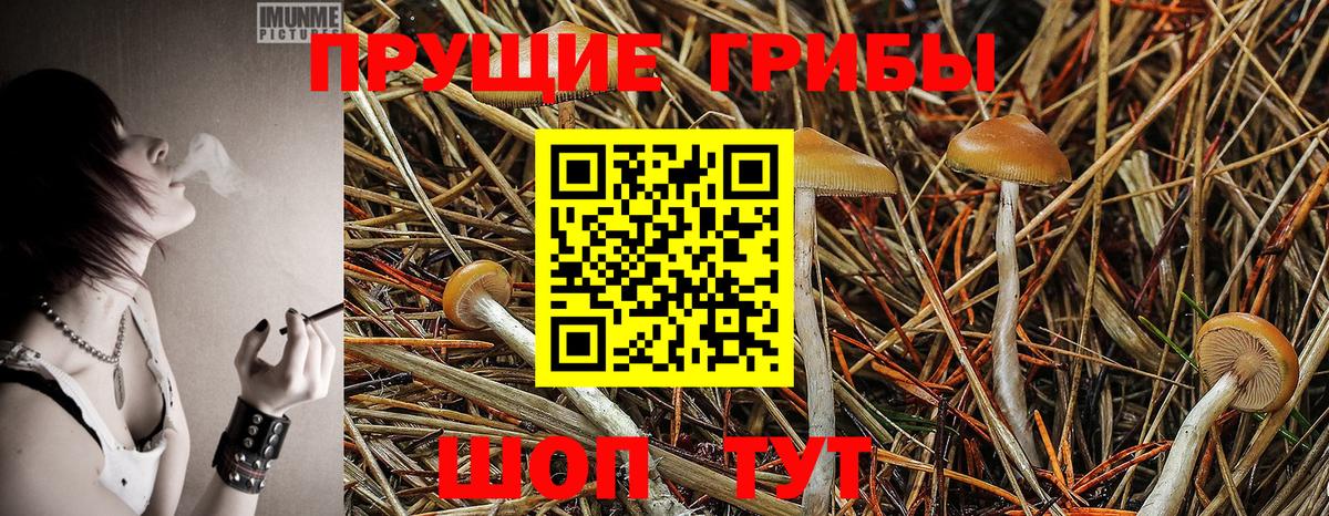 Псилоцибиновые грибы MAGIC MUSHROOMS  Верхний Уфалей 